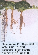 The Award winning Multi-Tooth Tiller Roll